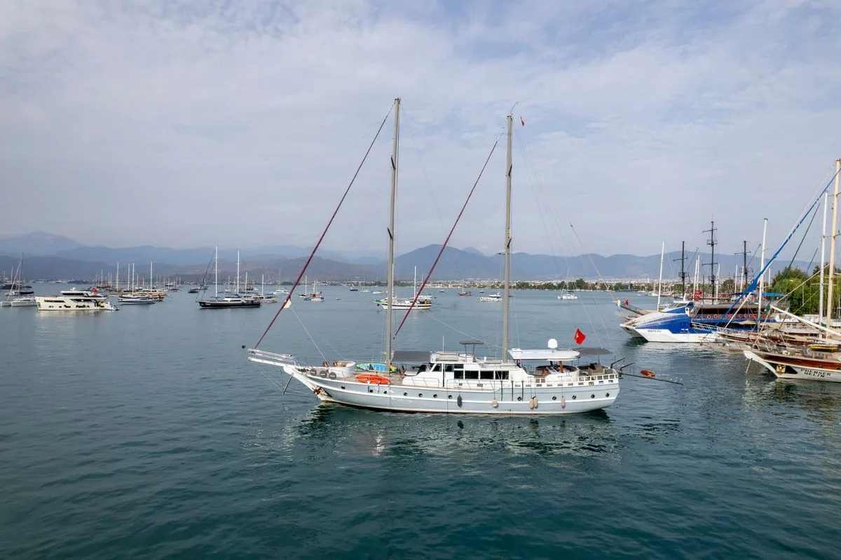 Diamond Lila Gulet Küçük Görsel 4