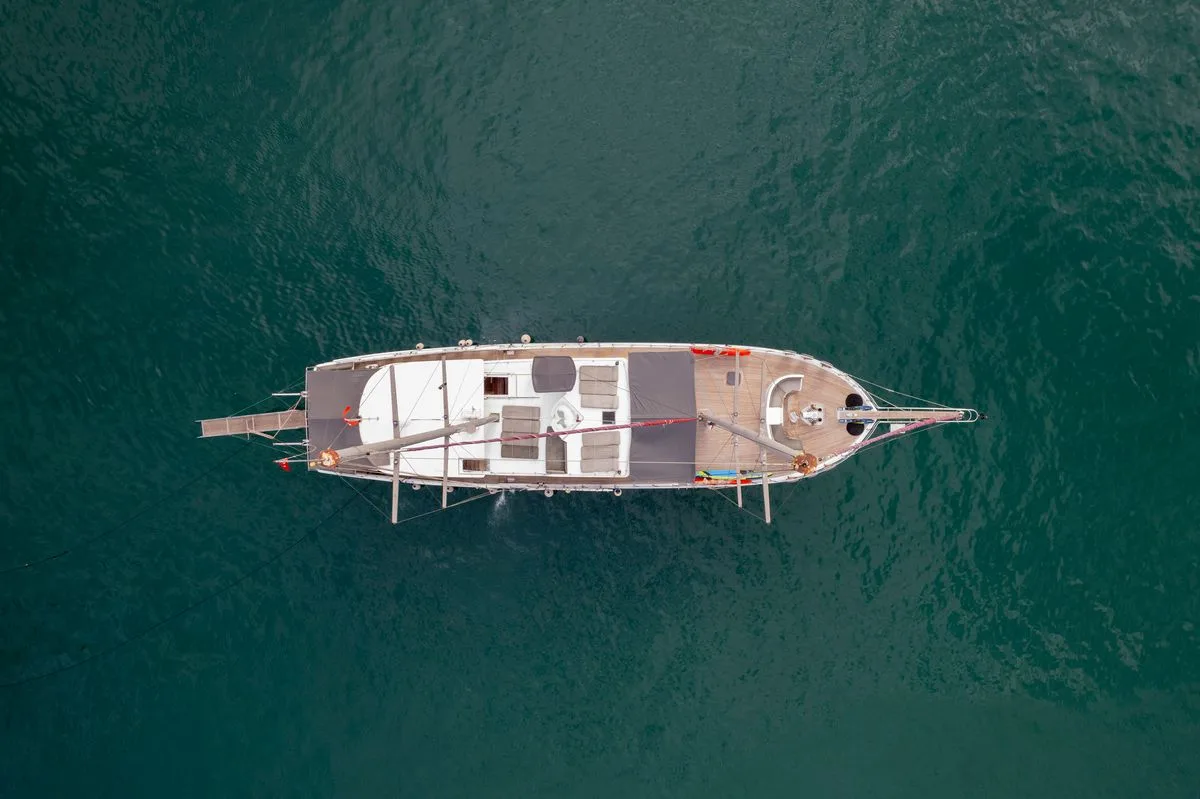 Diamond Lila Gulet Küçük Görsel 5